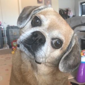 Meet your Posher, Tina